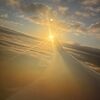 aarti_mccall